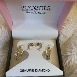 NIB Dolphin and Hoop Earrings